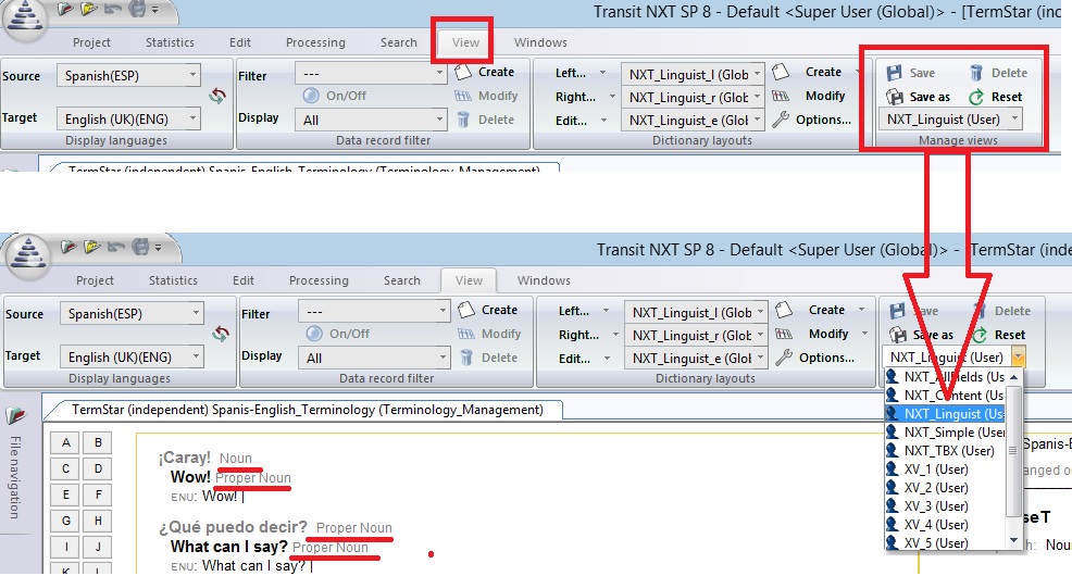 Customizing the dictionary window with Views STAR